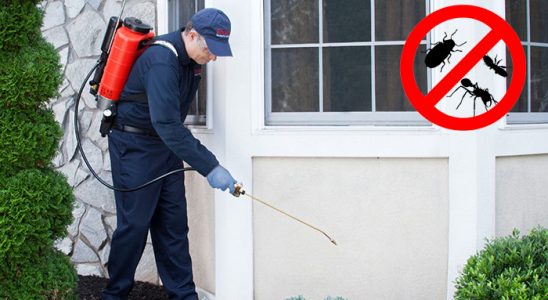 Bozyaka Fare İlaçlama böcek ilaçlama ve haşere kontrolü — ilaclama-tr.com